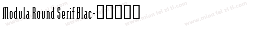 Modula Round Serif Blac字体转换